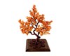 درختچه سنگی آونتورین پرتقالی
